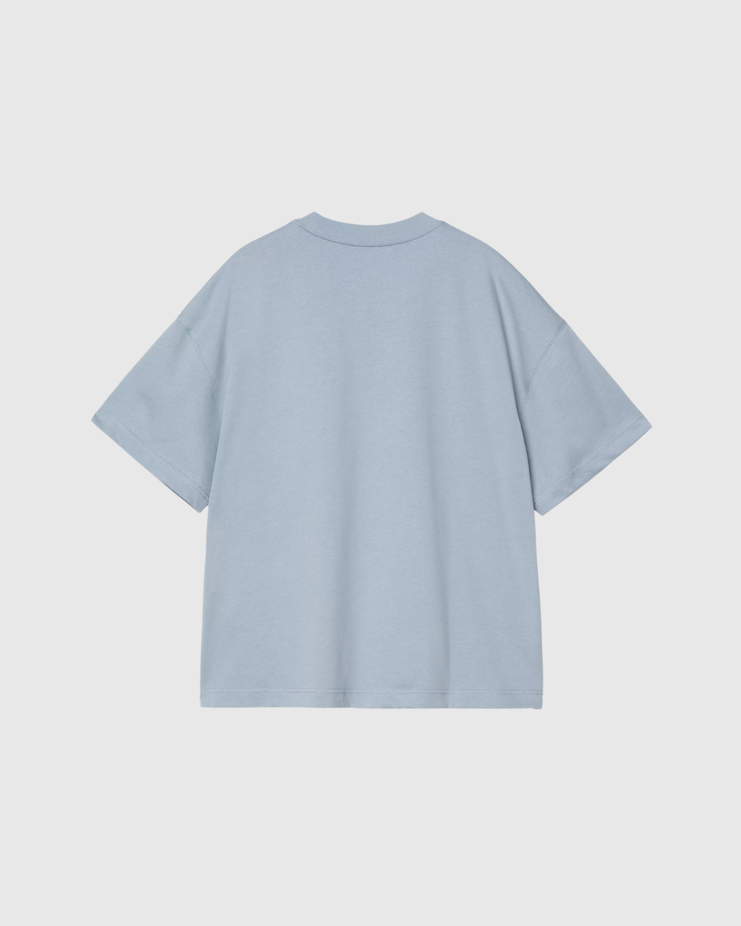 Carhartt WIP Tee - Signature Script - Frosted Blue / White