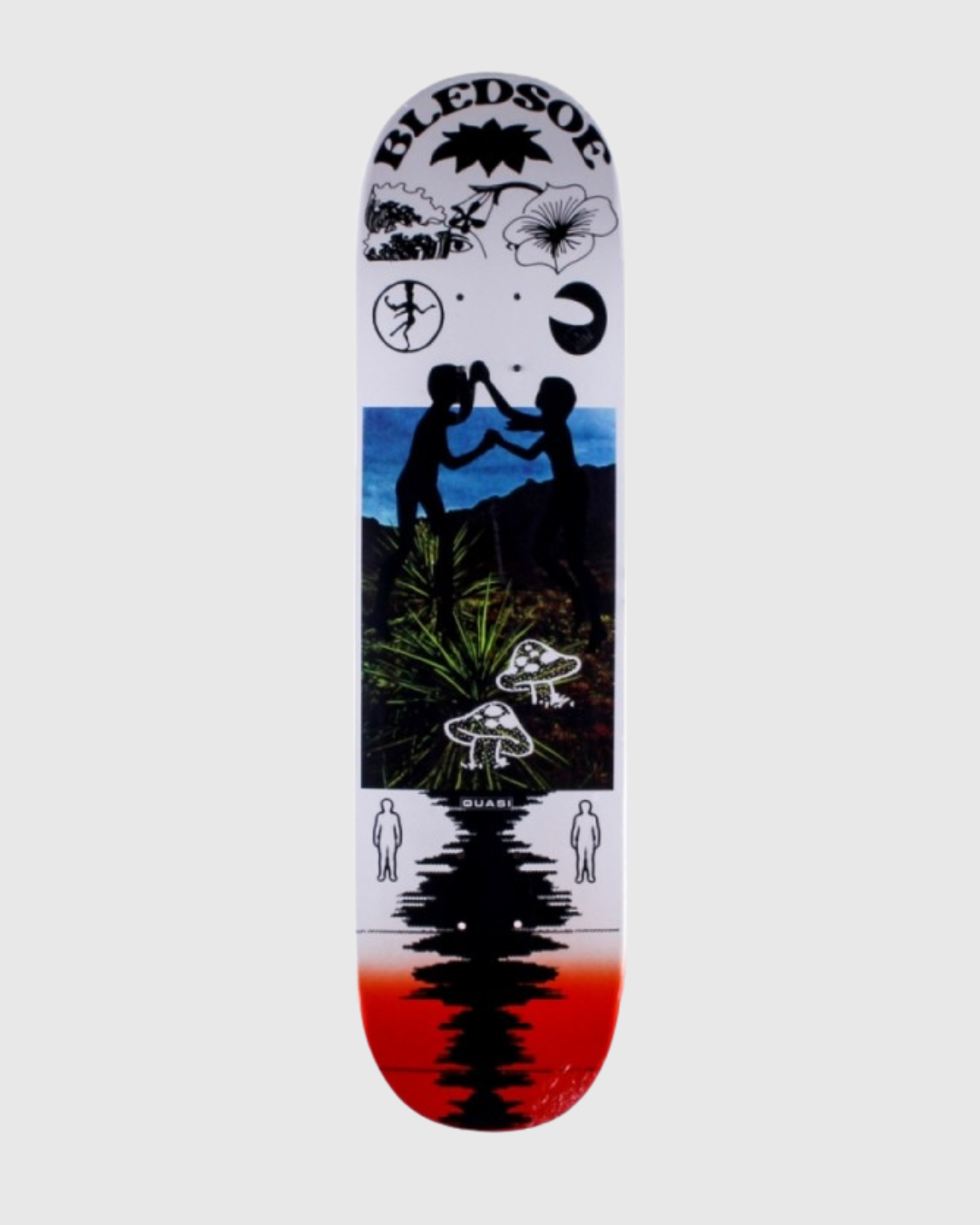 Quasi Board - Bledsoe Dreamcatcher - 8.125"