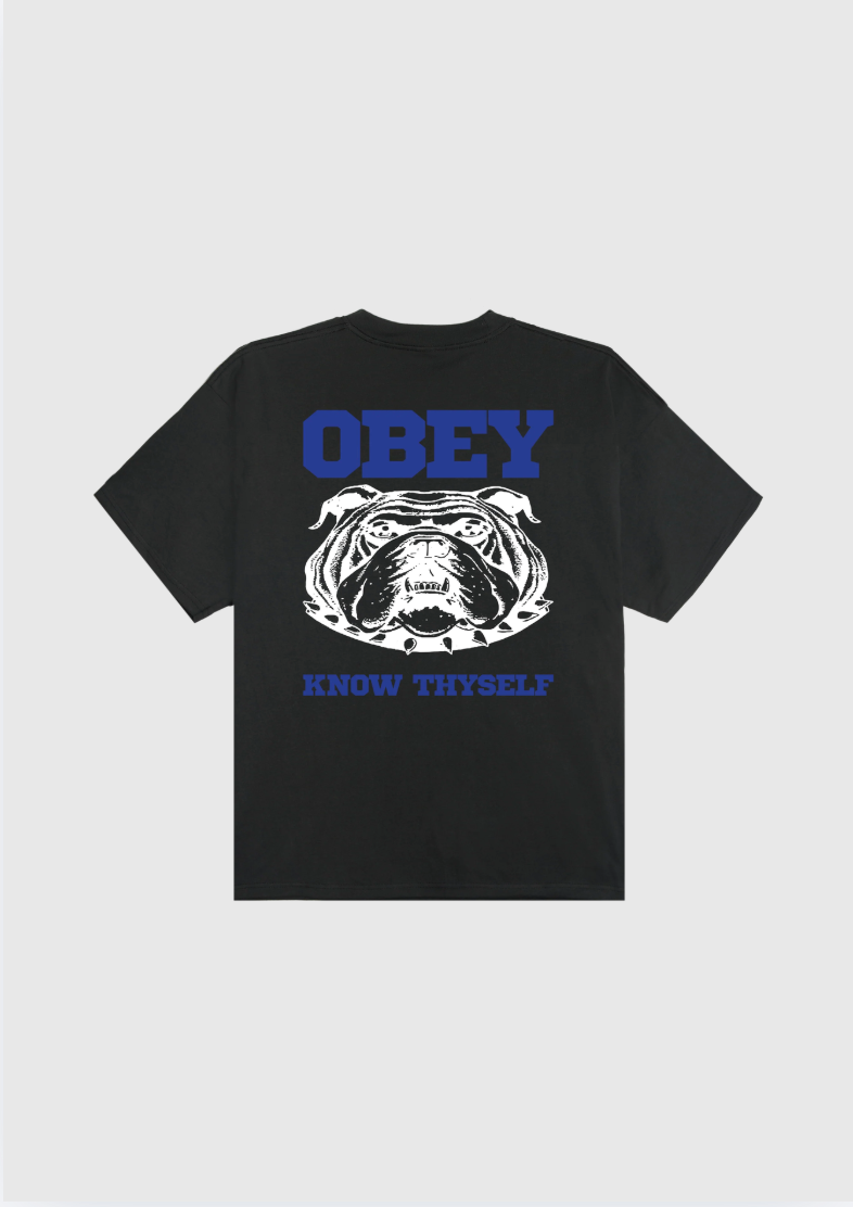 Obey Tee - Know Thyself - Vintage Black