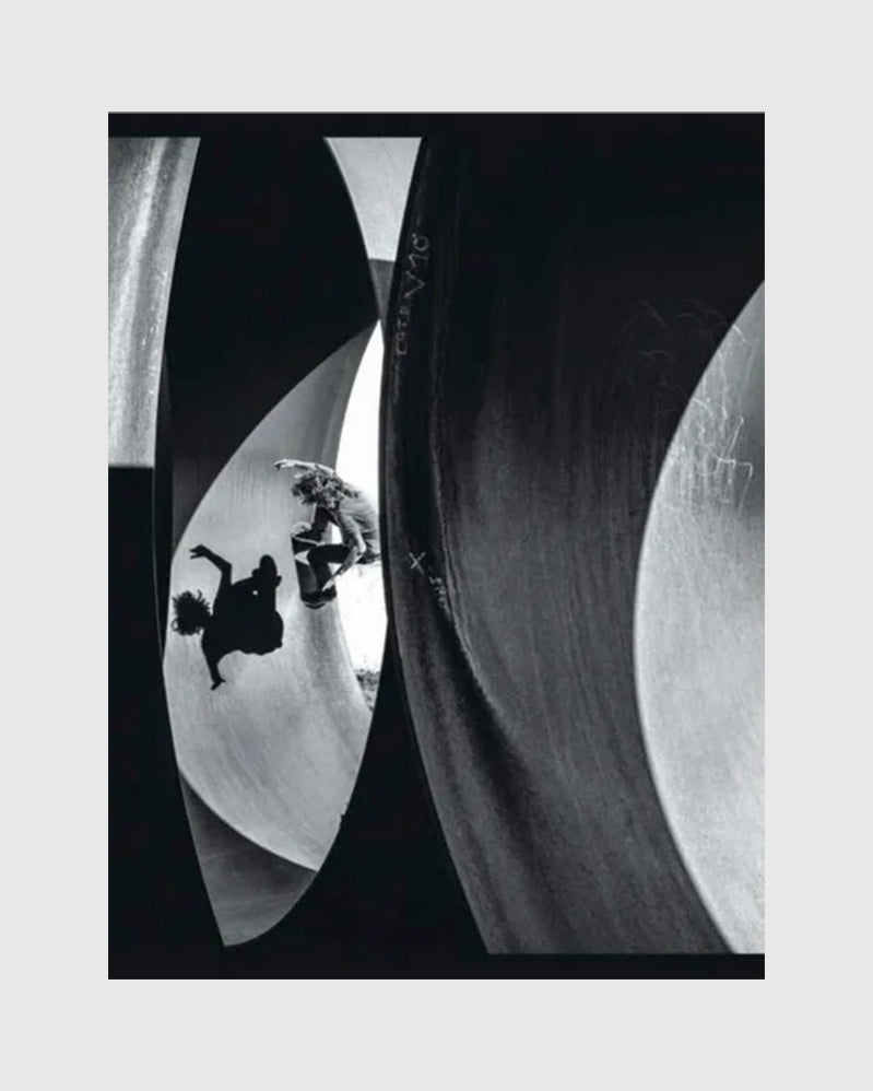 Book - Catching on the Fly