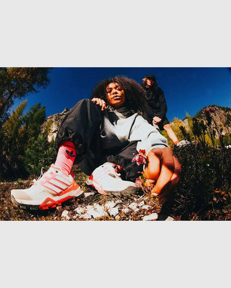 Adidas Terrex - Skychaser GTX Schmoo