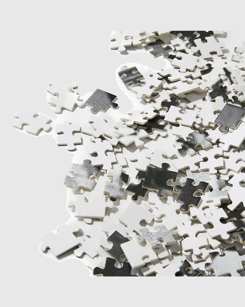 Polar - Puzzle No. 01