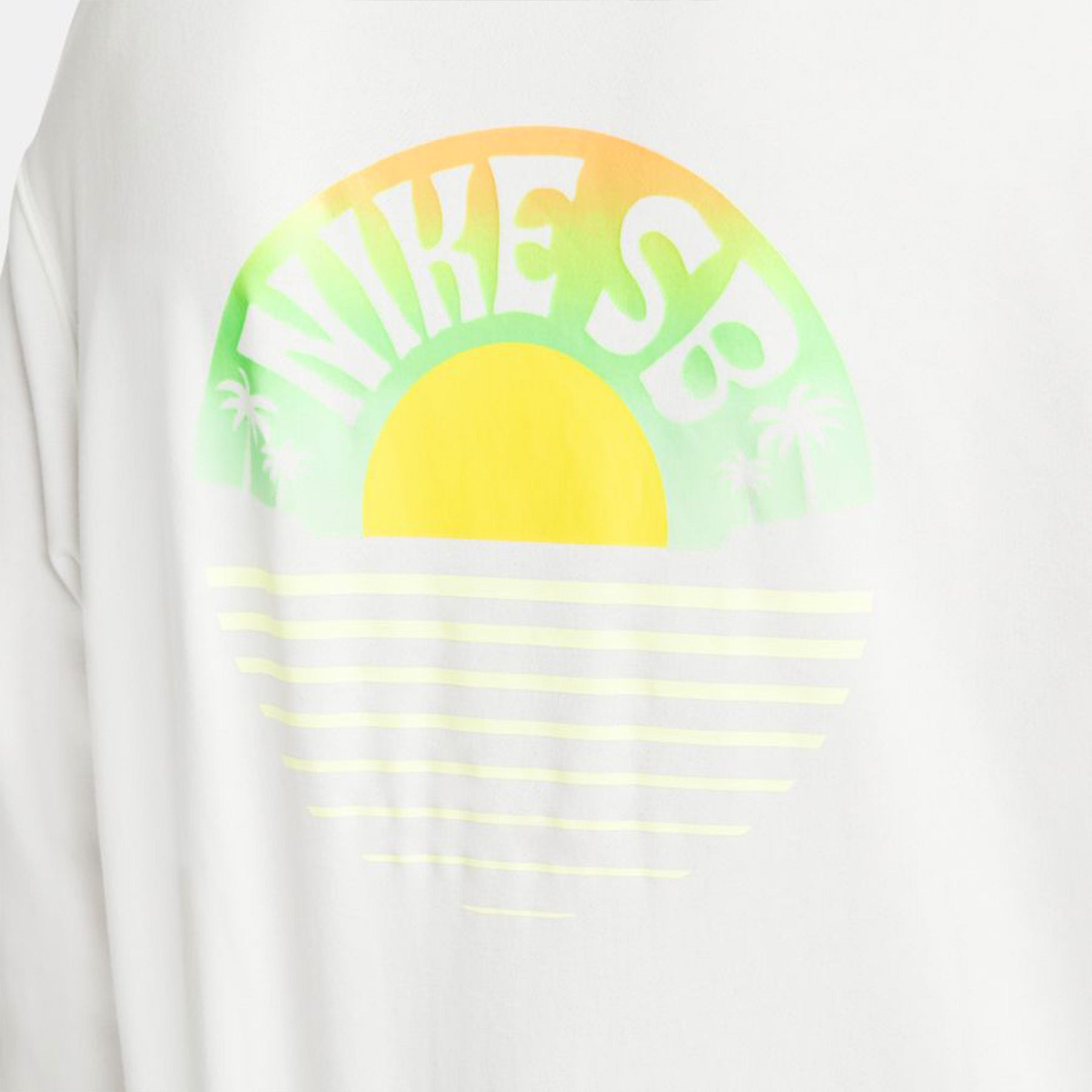 Nike SB Hoodie - ASR GFX