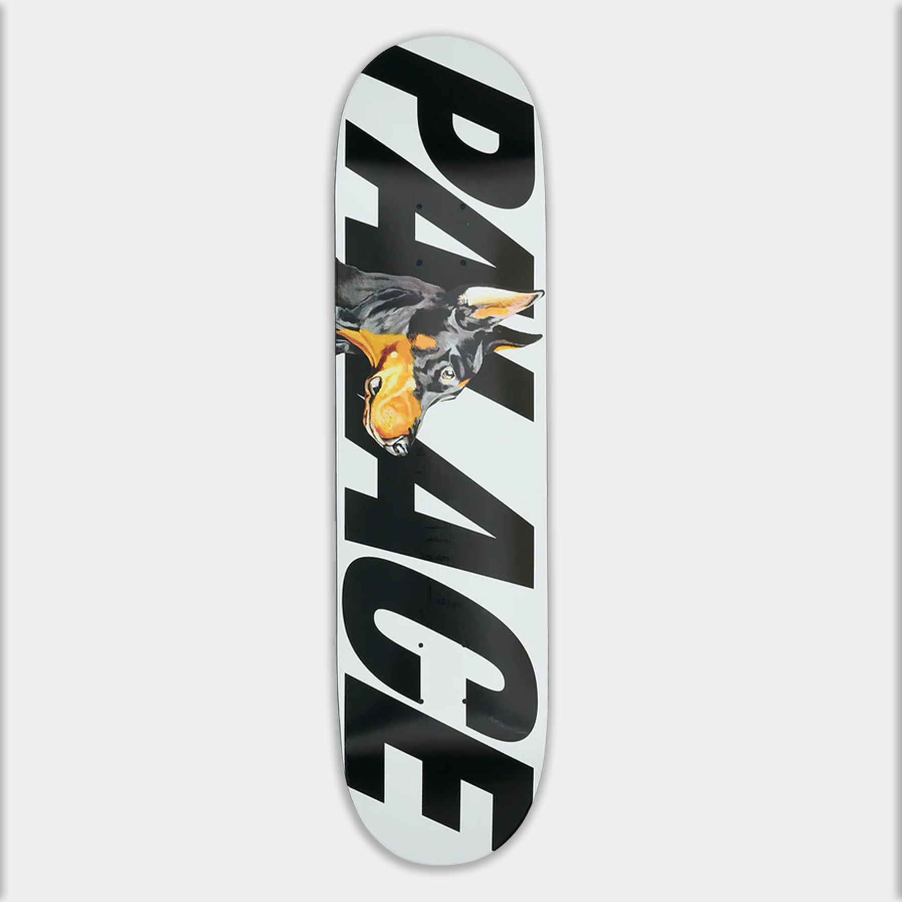 palace board k8