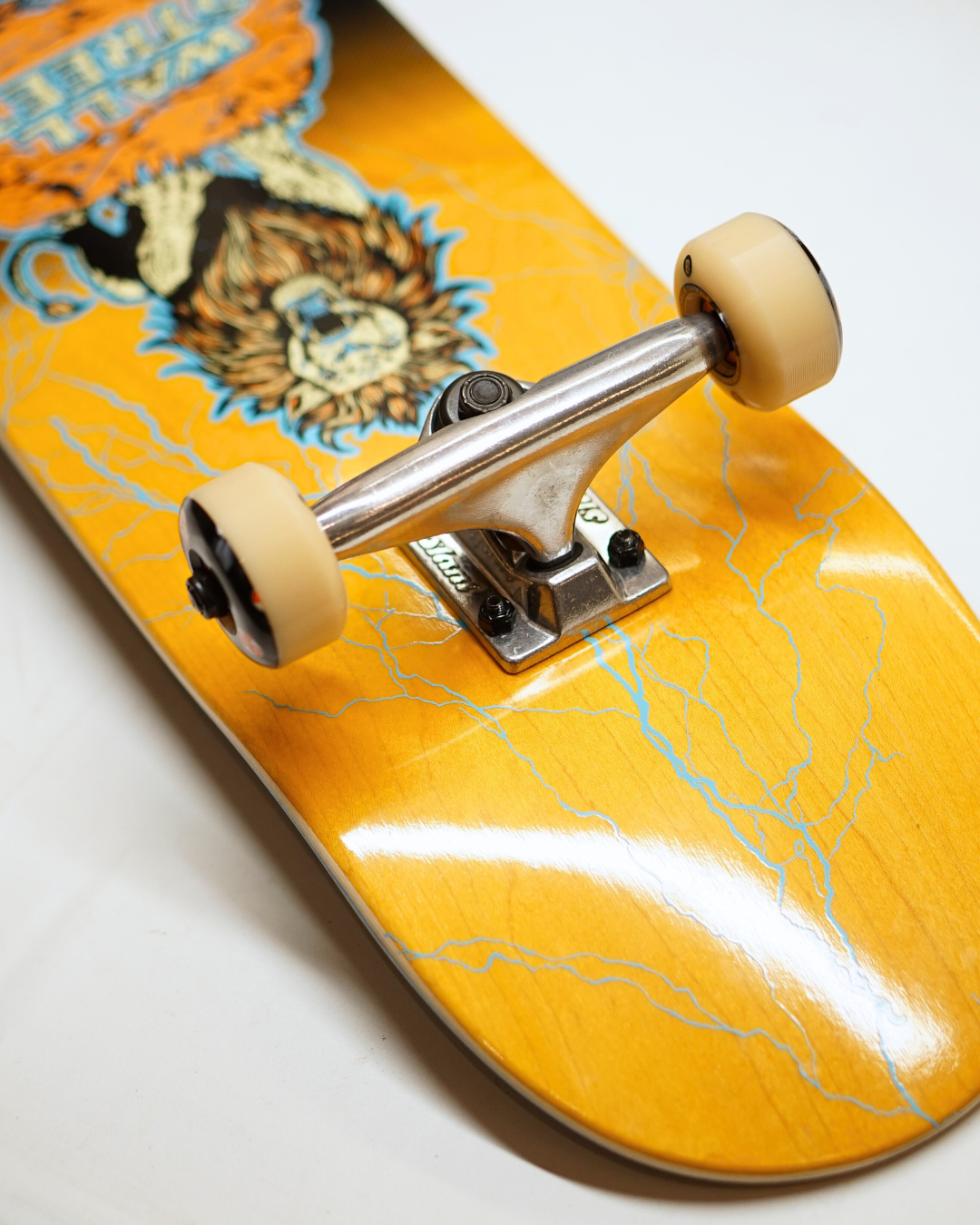 Wallstreet Complete Kids - Lion - 7.25"