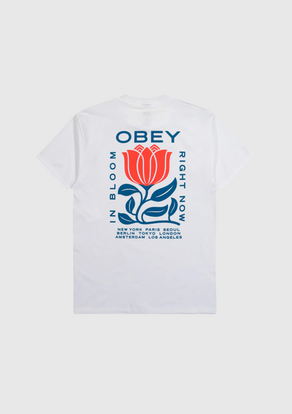 Obey Tee - In Bloom  - White