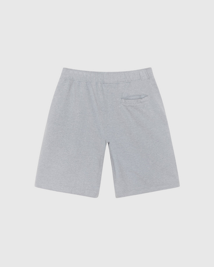 Stussy Short - Double Layer Jersey - Grey Heather