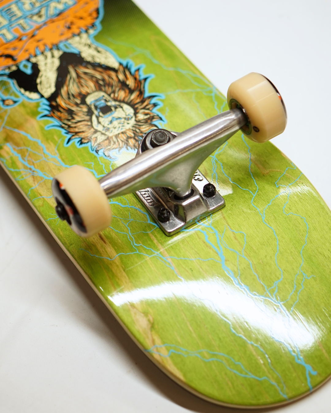 Wallstreet Complete Kids - Lion - 7.0"