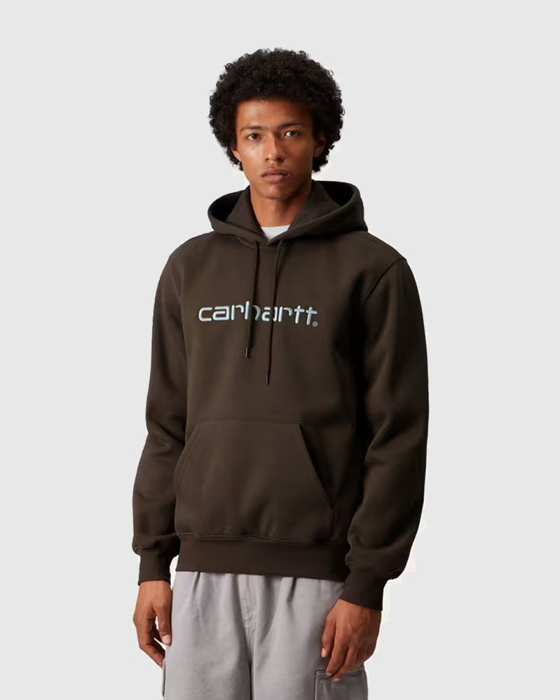 Carhartt Hoodie - Sweat - Vitola/Citadel