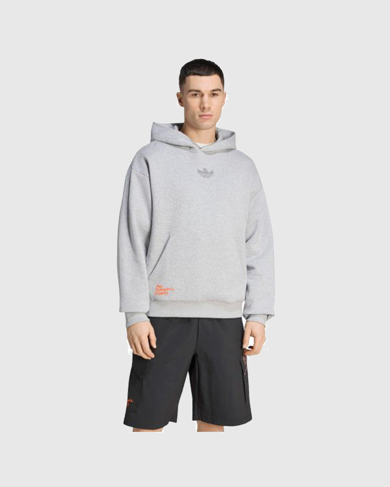 Adidas Hoodie - Terrex Schmoofoil Xploric - Heather Grey
