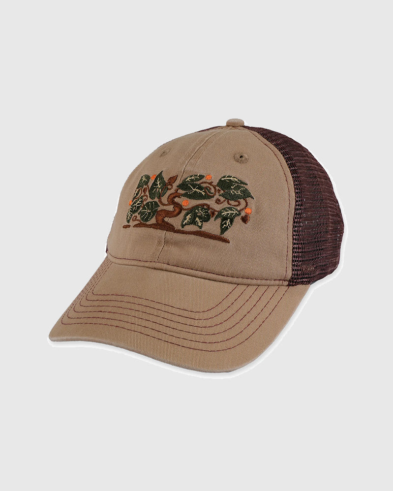 Passport Cap - Orchard Leagues - Sand